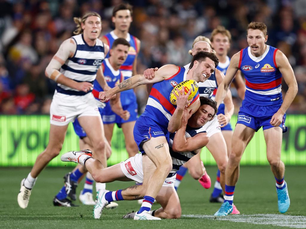 Geelong Cats | AFL | AFL News and AFL Ladder | Geelong Advertiser