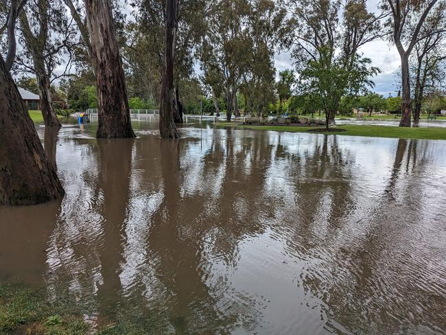 Seven Creek Park as of 11:45am Wednesday. Picture: VICSES Euroa Unit/Facebook