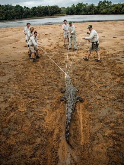 This photo was taken yesterday by my amazing brother Robert! Stanley the crocodile was first caught in 2013 at 9’ long. Since then he had grown 10 inches and is now 9’ 10”. Stanley the croc is named after one of Mapoon’s indigenous rangers. Picture: Australia Zoo/Instagram
