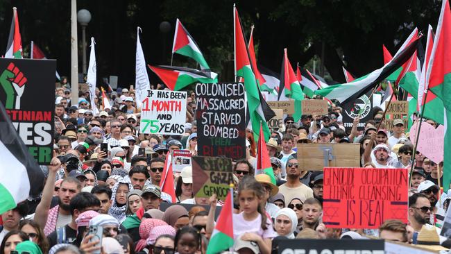 The Pro-Palestinian rally in Sydney’s Hyde Park. Picture: John Feder