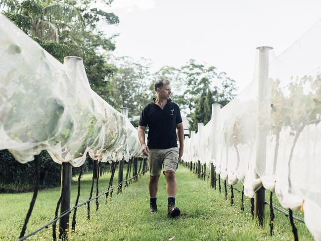 Winemaker Jon Heslop at Witches Falls, in the Queensland Granite Belt region. Wineries such as his are helping to boost Queensland's reputation for quality wines. Photo: Wine Australia
