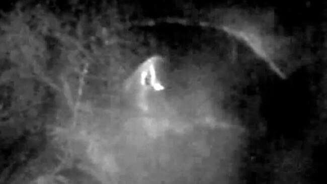 Jason Heal and Jason Dunn claim to have captured vision of an Australian Bigfoot say they “convinced” it to appear on film by offering apples. Jason Heal and Jason Dunn’s grainy vision of a creature with glowing eyes shot in Queensland on March 29 has had more than a million YouTube hits since April 5. Picture: YOUTUBE/JJYOWIESEARCH