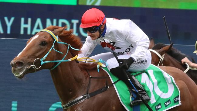 Clayton Gallagher looks set for a good day at Mudgee. Picture: Grant Guy