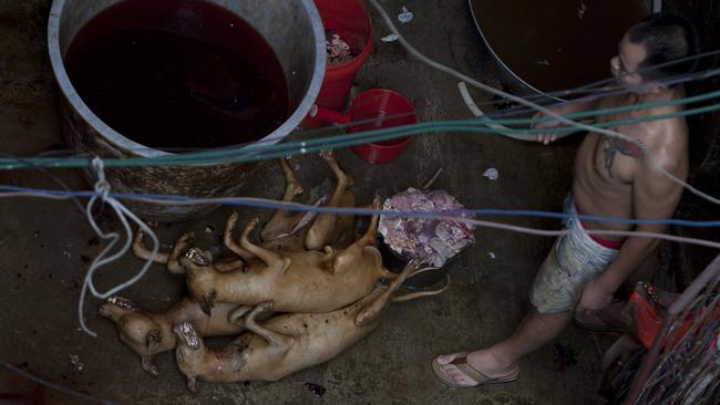 A man cleans dead dogs before they are chopped up for meat in Yulin. Picture: AFP