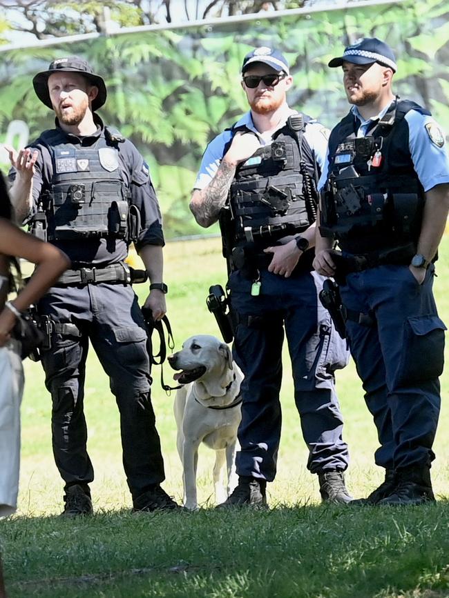 Listen Out festival was met with a heavy police presence which included police dogs. Picture: NCA NewsWire/Jeremy Piper