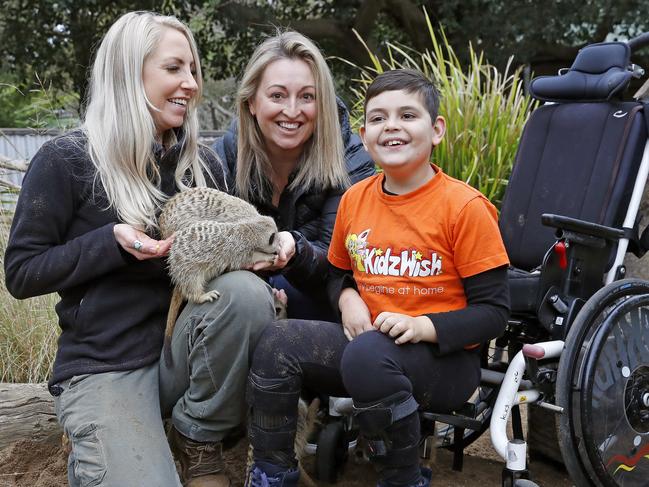 Symbio Wildlife Park in Helensburgh have created a way for unused Dine and Discover vouchers to be donated to kids charities like KidzWish and Canteen to redeem at the popular zoo. Ashton Binskin 9 with mum Renee enjoy an encounter with the meerkats as keeper Beth Beckworth feeds them. Picture: Toby Zerna