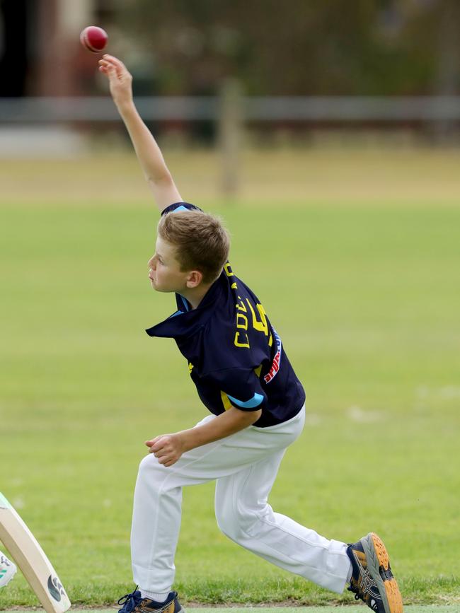 Cricket Junior Country Week match between GCA5 versus Colac3 Picture: Mark Wilson