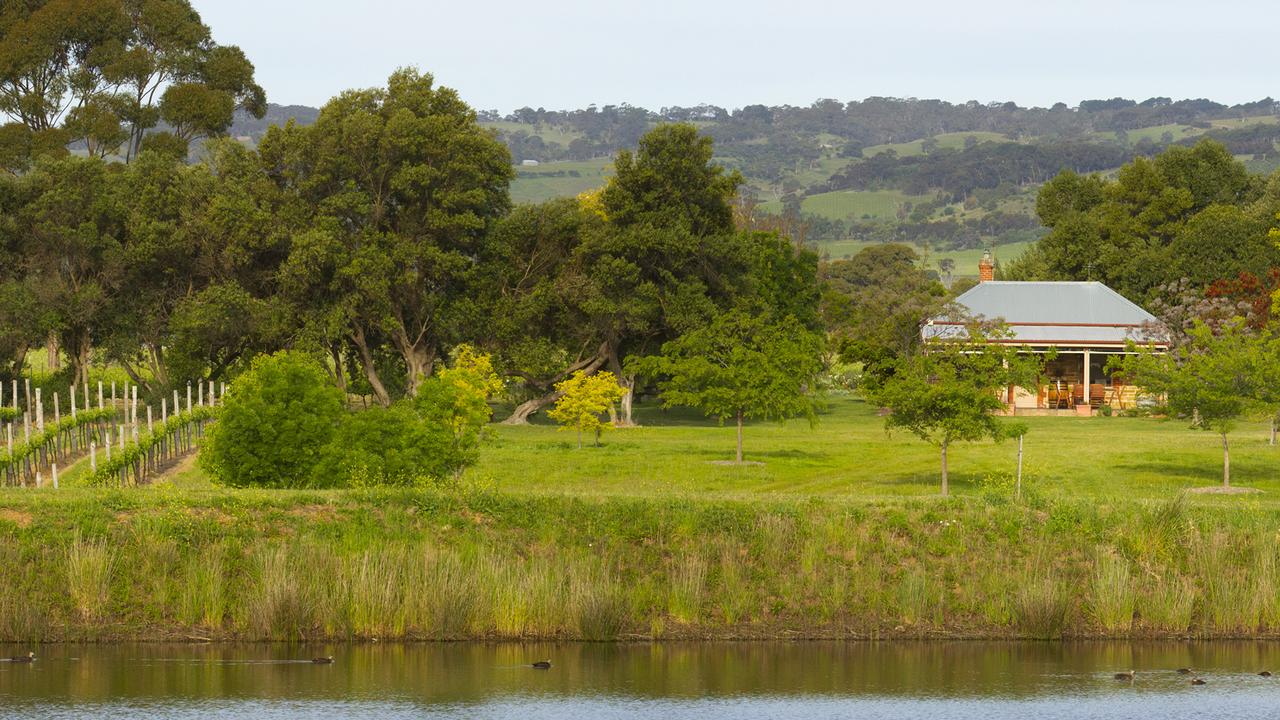 The cellar door at Fox Creek Wines in the McLaren Vale.