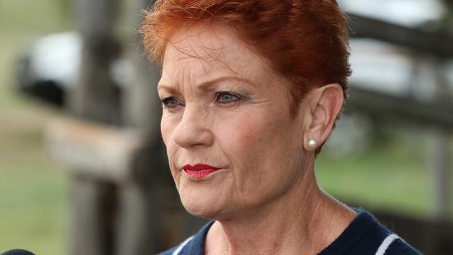 One Nation leader Pauline Hanson at this morning’s press conference west of Brisbane. Picture: Liam Kidston.