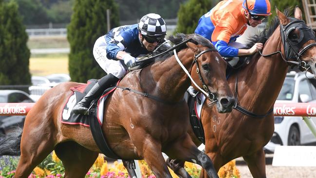 Vibrant Sun will continue towards her spring Group 1 assignment via Friday night’s Group 2 Stocks Stakes at The Valley. Picture: Racing Photos via Getty Images