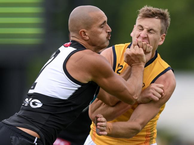 ADELAIDE, AUSTRALIA - FEBRUARY 23:  Sam Powell-Pepper of the Power bumps  Jordan Dawson of the Crows during an AFL practice match between Port Adelaide Power and Adelaide Crows at Alberton Oval on February 23, 2024 in Adelaide, Australia. (Photo by Mark Brake/Getty Images)