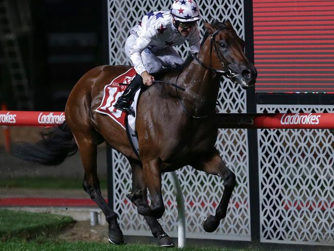 Luke Currie rides Sunlight to victory in the Group 1 William Reid Stakes.