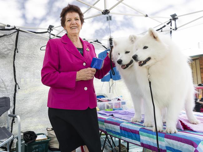 Joan Webb prepares to compete with her samoyed dogs Yuki and Marnie (right) at the Toowoomba Royal Show, Friday, April 19, 2024. Picture: Kevin Farmer