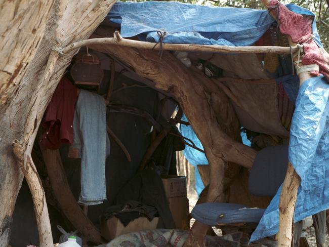 Homeless tent next to tree