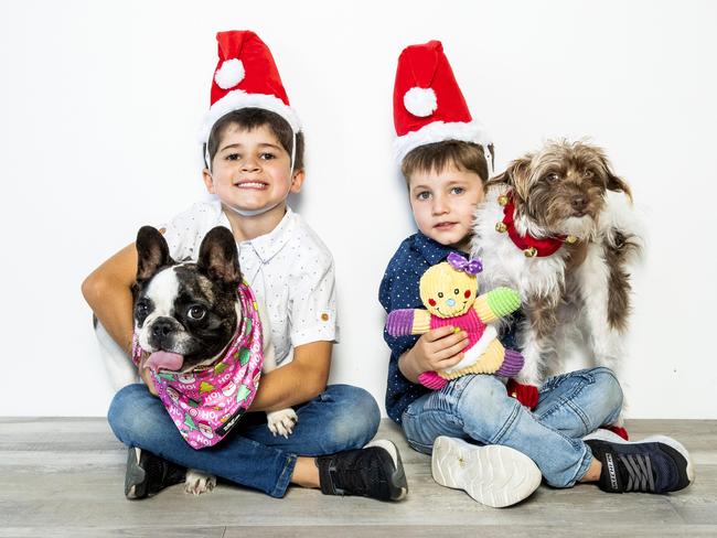 Hayden Callus, 6, with Airlie the French Bulldog and Flynn Callus, 4, with Lino the Chihuahua X Poodle model some of the cute festive gifts you can get last-minute for your pooch this year. Picture: Richard Walker