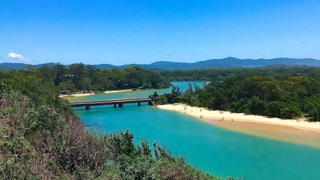 Boambee Creek Reserve, snapped by Tammy Osborne.