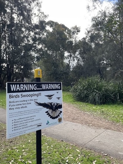 A sign in Scarborough park, south of Sydney’s CBD, urges locals to be cautious of swooping birds.