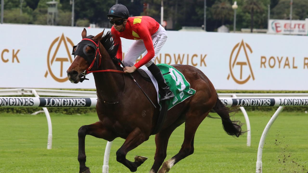 Socrates can land another TAB Highway win at Randwick on Saturday. Picture: Grant Guy