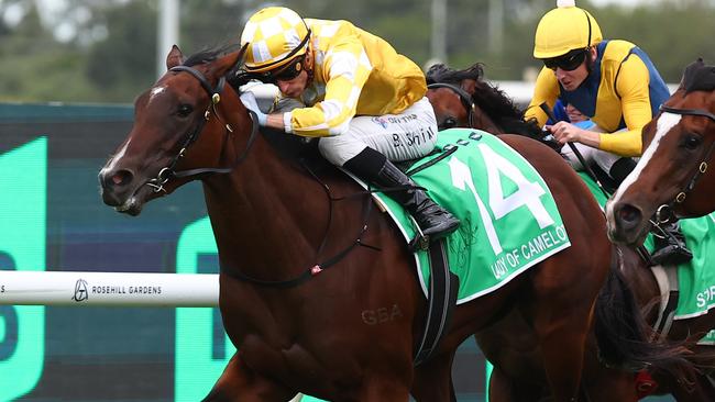 Lady Of Camelot, winning last year’s Golden Slipper, is chasing a rare double on Saturday. Picture: Jeremy Ng/Getty Images