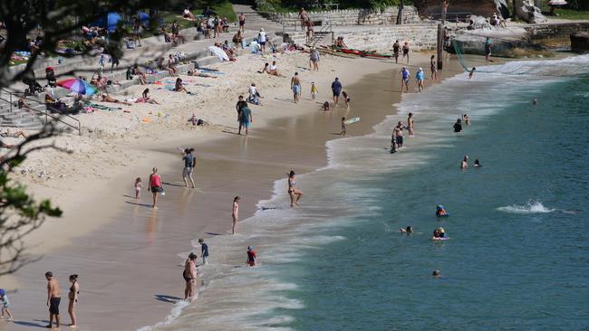 Shark Beach, Nielsen Park. Picture: Craig Wilson