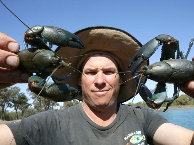 Family Fishing Series Part 2 - Catching live Yabbies for bait!