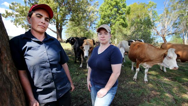 Carissa Wolfe and Karyn Cassar said the water has been a godsend for their dairy farm. Picture: Nathan Edwards.