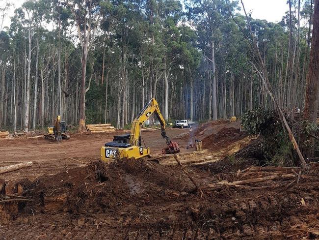 VicForests work at Babbington Hill in Wombat State Forest.