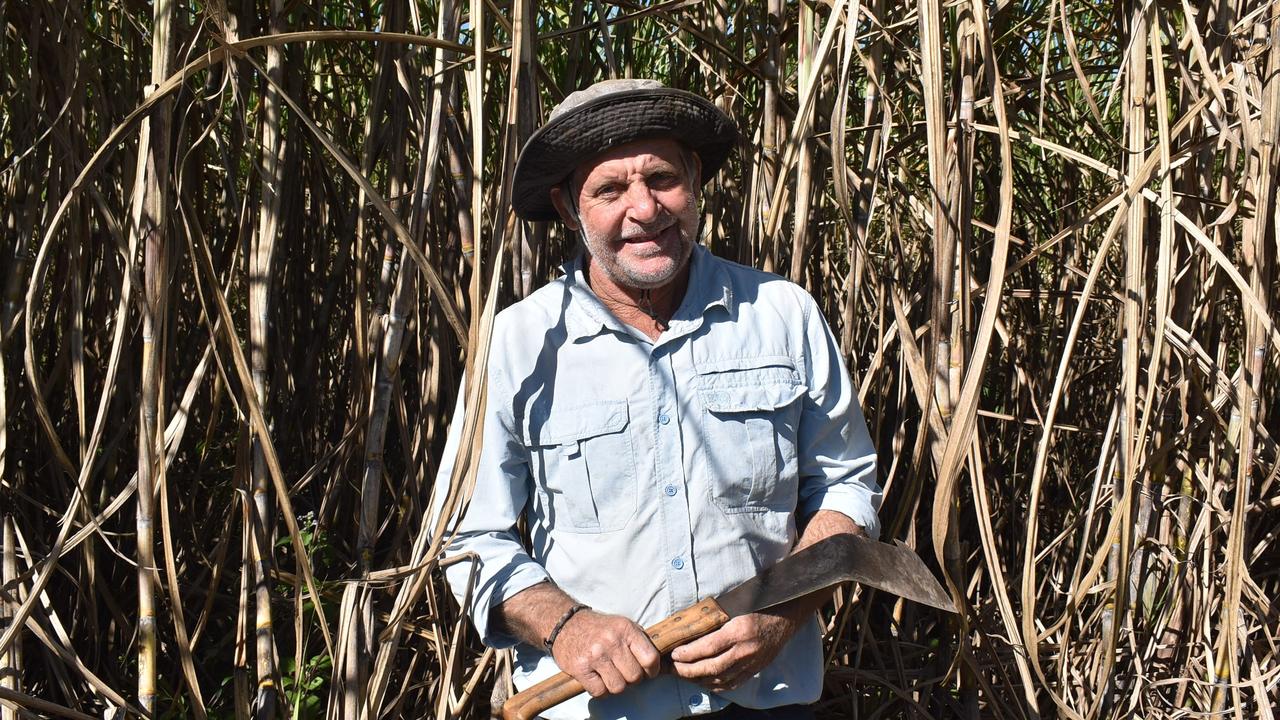 ‘Beat half them young fellas’: Cane cutting family win big