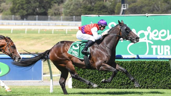 Coastwatch wins the John Dillon Stakes on Saturday Picture: Holburt/Racing Photos