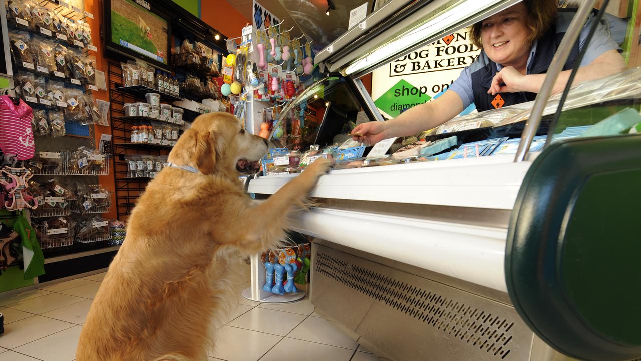 Ms Needham with their golden retriever Monty, who used to greet everyone at the doggie bakery. Picture: Supplied