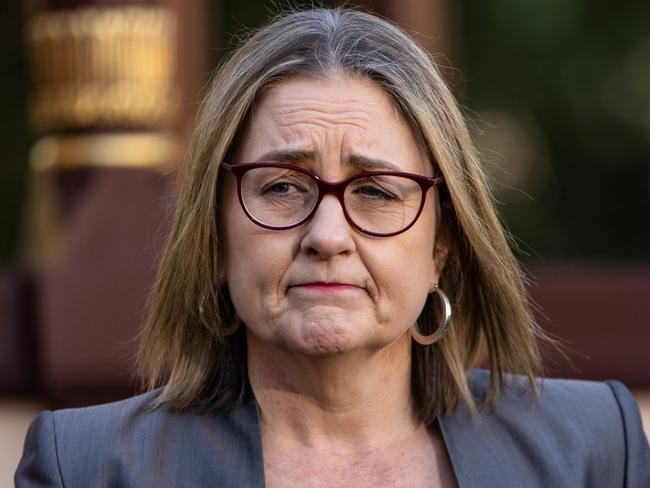 MELBOURNE, AUSTRALIA - NewsWire Photos - 28 MAY 2024: Victorian Premier Jacinta Allan speaks to the media during a press conference. Picture: NewsWire / Diego Fedele