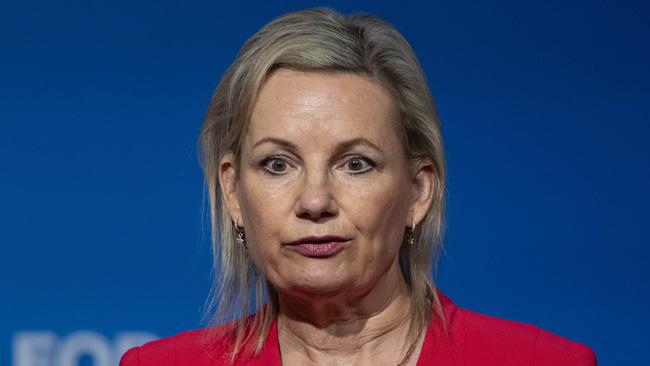 Deputy Liberal leader Sussan Ley told the partyroom that the culture within the parliament had changed. Picture: Martin Ollman