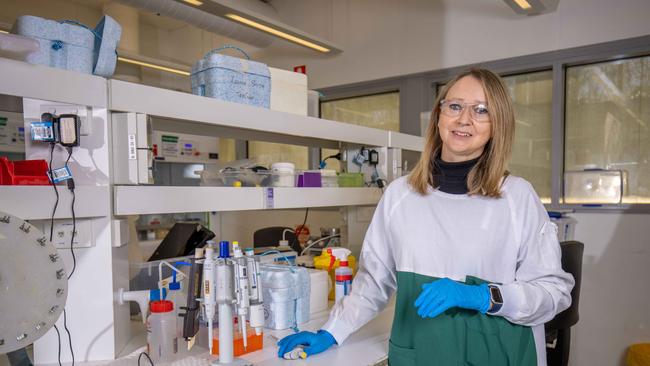 Allison Cowin is working on a groundbreaking treatment for EB at the University of South Australia, Mawson Lakes. Picture: Ben Clark