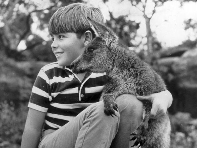 Waratah National Park had more manageable bush when Skippy The Bush Kangaroo was filmed nearly 50 years ago.