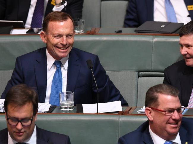 Tony Abbott admits the day he was knifed was ‘not great’, but now appears happy on the backbench. Picture: Lukas Coch/AAP