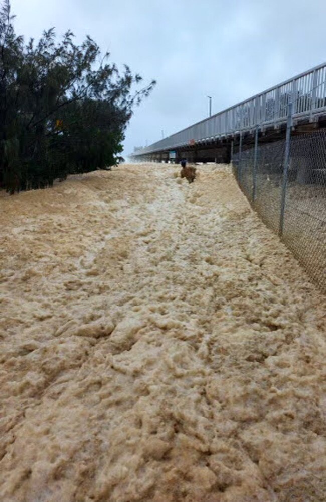 The man’s desperate search for his dog. Picture: Bryce Rogers