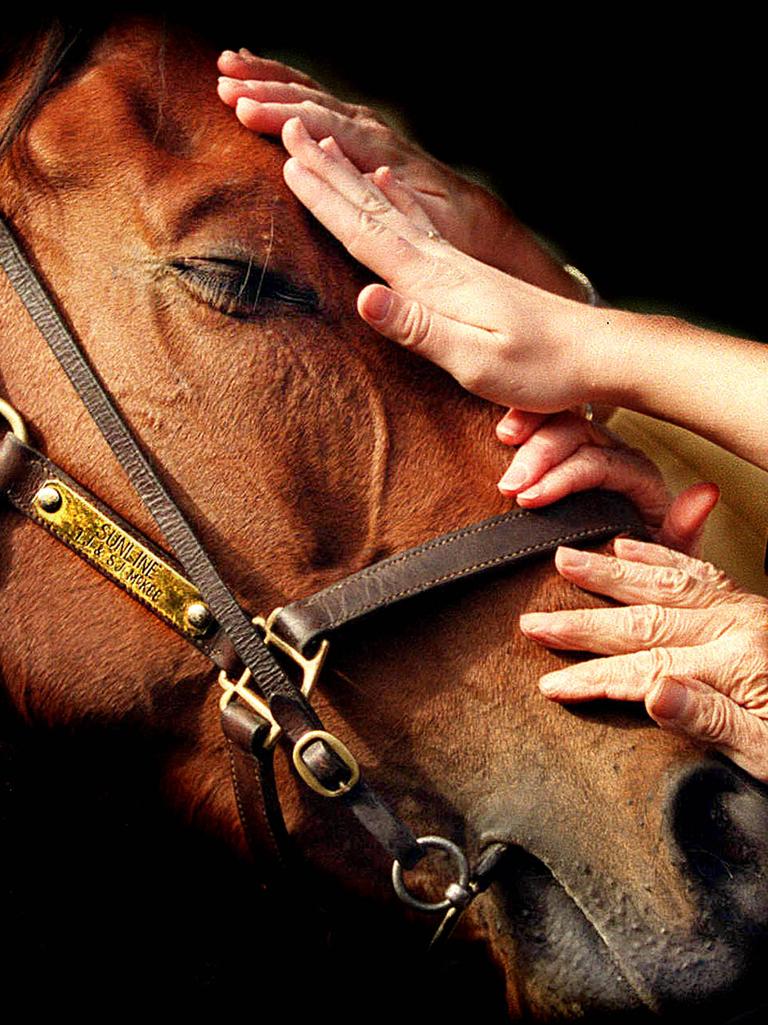 Fans patting racehorse Sunline after winning Cox Plate at Moonee Valley 28 Oct 2000.