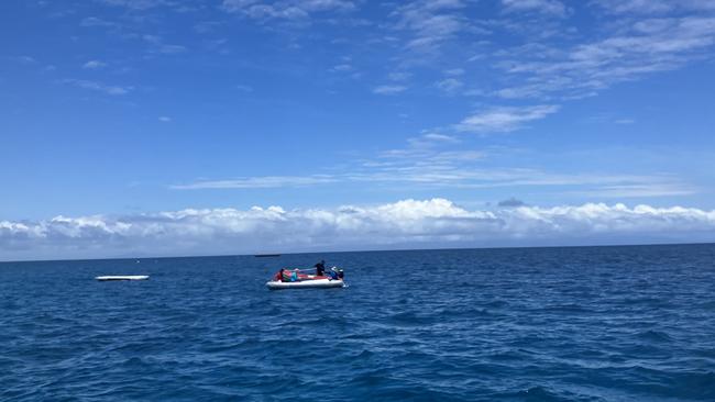 Marine biologists collate coral samples to help regenerate coral colonies on Agincourt Reef. Photo: Catherine Duffy.