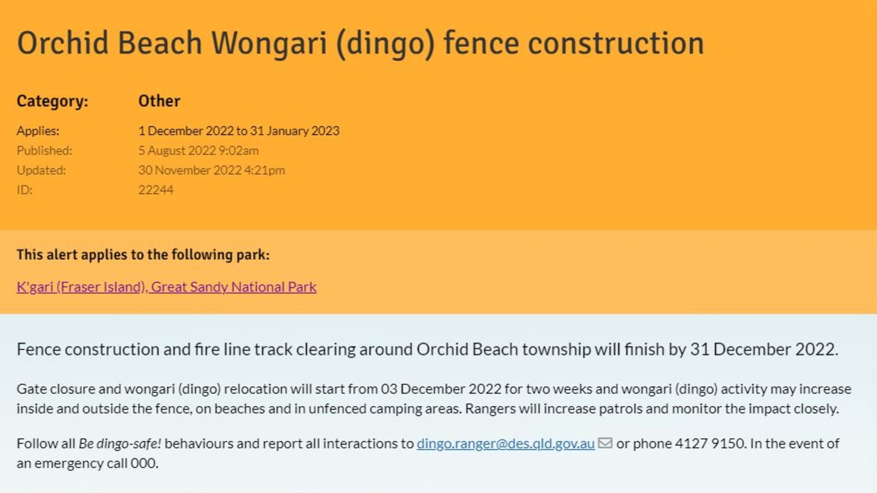 The Queensland government had issued a warning that dingo activity would likely increase two weeks before a five-year-old boy was attacked by a dingo on K’gari Island. Picture: QPF