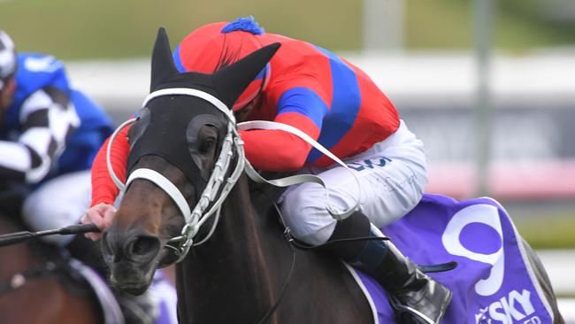 Verry Elleegant returned to winning form in the Hill Stakes at Randwick. Picture: AAP