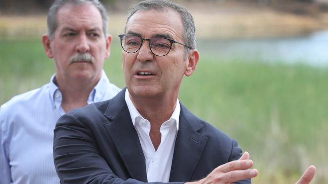 Premier Steven Marshall and other politicians have tough jobs and their sacrifice should be appreciated. Picture: Dean Martin