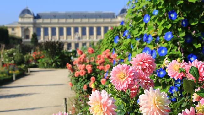 Jardin de Plantes in Paris.