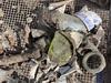 SRL digs uncover artefacts dating back to colonial Victoria