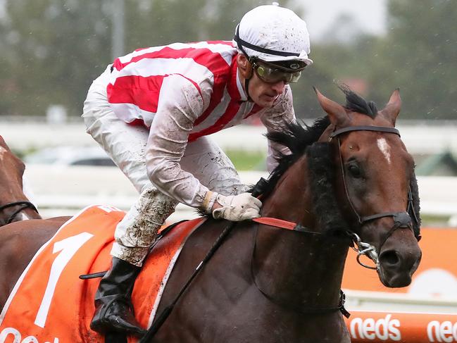 MELBOURNE, AUSTRALIA - FEBRUARY 01: Jockey Mark Zahra rides Super Seth during Race 7, Neds Manfred Stakes during Melbourne Racing at Caulfield Racecourse on February 01, 2020 in Melbourne, Australia. (Photo by George Salpigtidis/Getty Images)