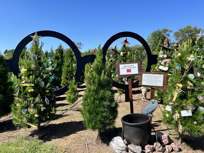 The magical world of Harry Potter was chosen as this year's theme at Dural Christmas Tree Farm. Picture: Tileah Dobson