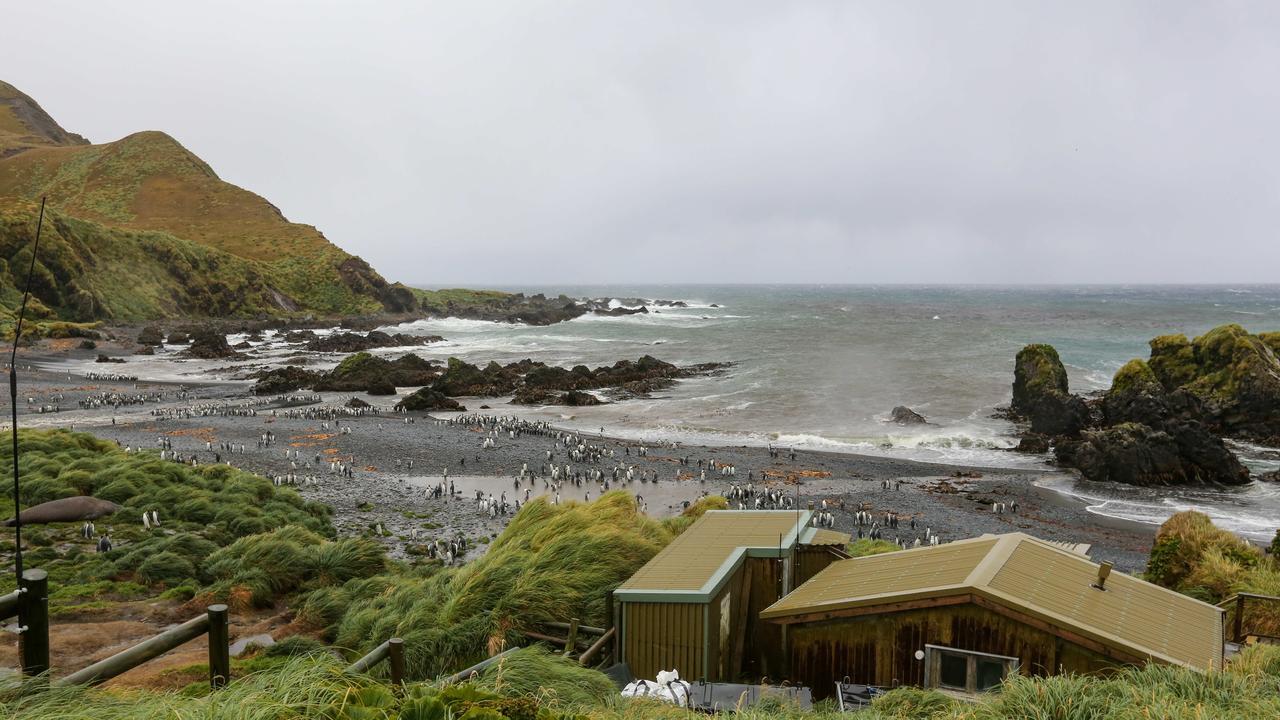 The resurgence of nature is being matched by a reinvigorated human engagement. Australia’s Antarctic program is rebooting its presence, having recently reversed a decision to close the research station. Picture: Ryan Osland