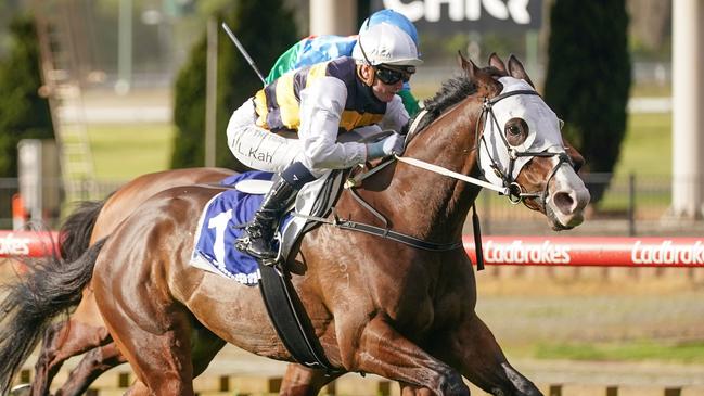 I'm Thunderstruck is a short-priced favourite for the Toorak Handicap. Picture: Racing Photos via Getty Images