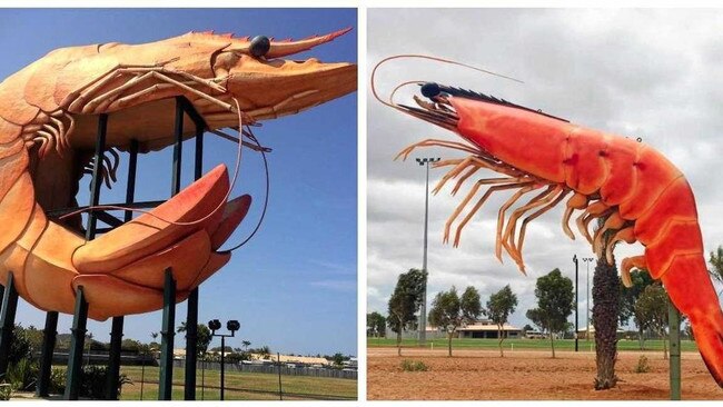 The Ballina and Exmouth prawns.