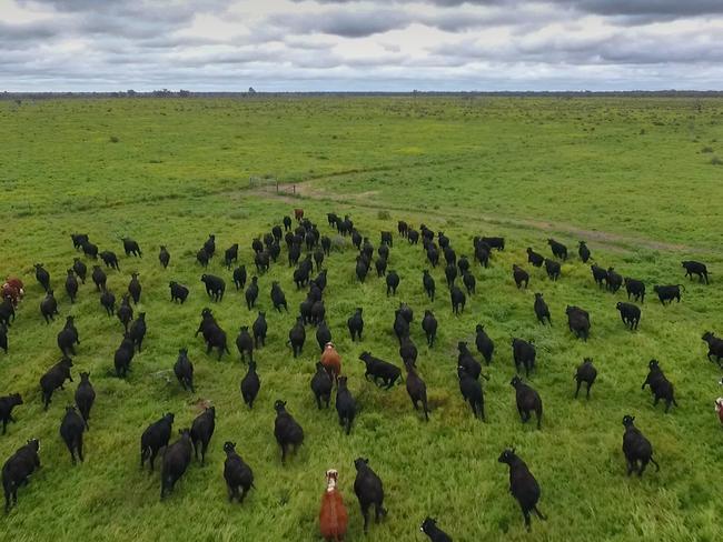 Macquarie’s Paraway Pastoral Company has placed Pier Pier Station near Coonamble in NSW central west, on the market with expectations it could raise as much as $30 million.