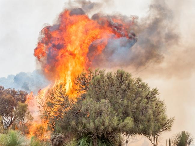 CFS crews battle a bushfire at Middle Rive on Kangaroo Island.Picture: Sean McGowan.